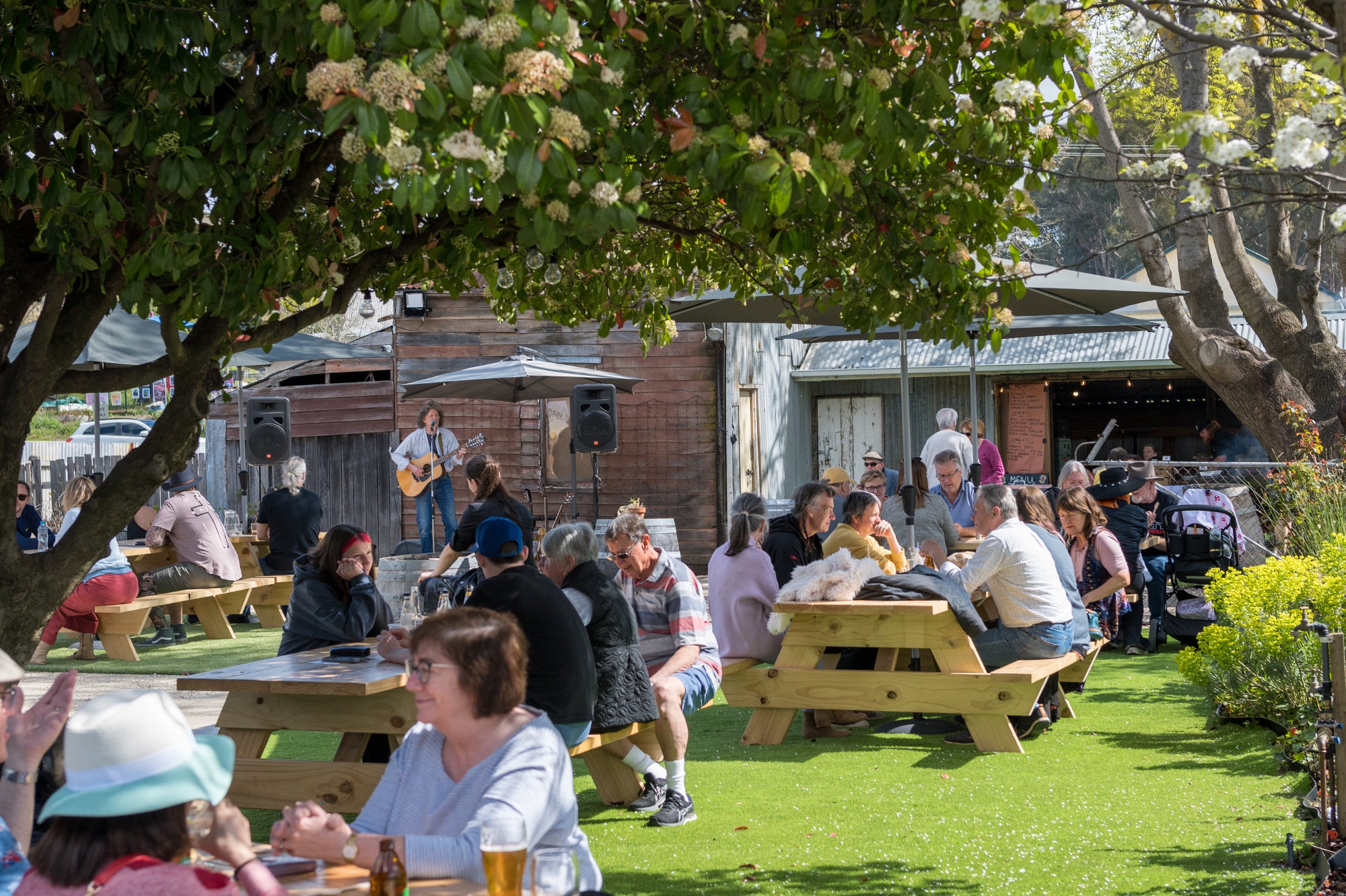 Live Music_edited_edited.jpg